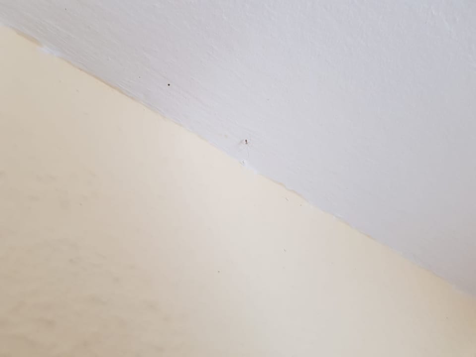 Zimmer Ferienwohnungen Ferienpark Weissenhäuser Strand