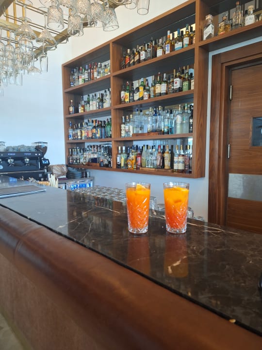 Gastro Acanthus Cennet Barut Collection