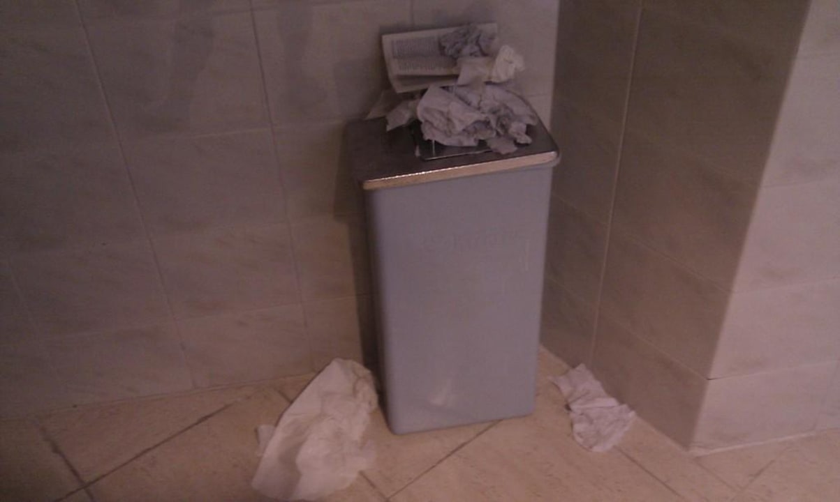 Wc  Reverence Mare - Adults only