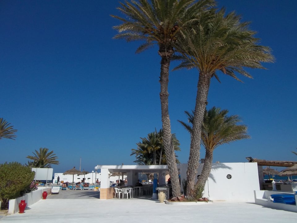Bar am Süßwasserpool Hotel El Mouradi Djerba Menzel