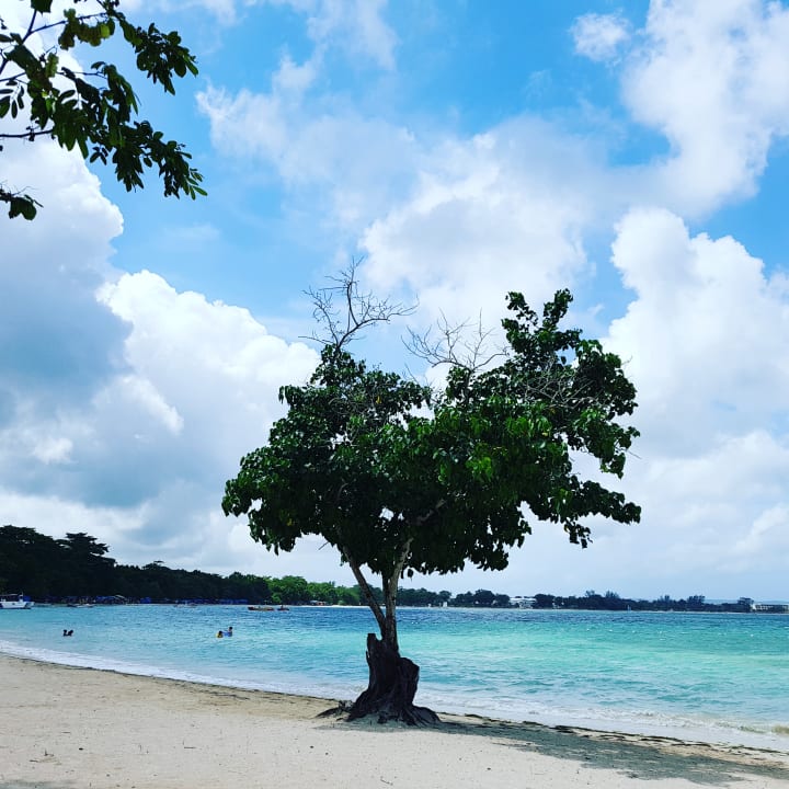 Strand Hotel Riu Negril
