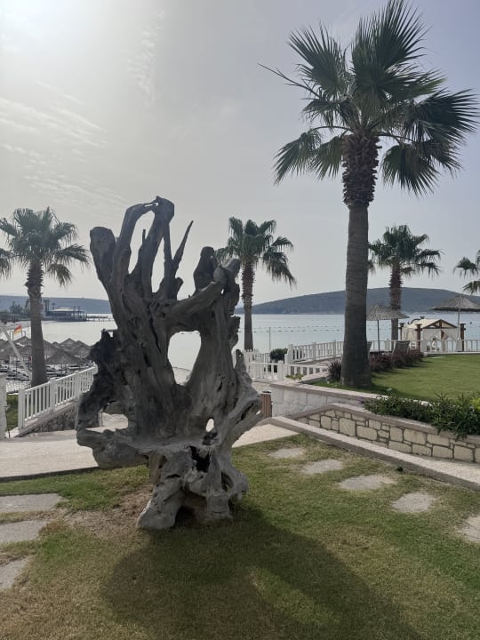 Gartenanlage Design Plus Seya Beach Hotel