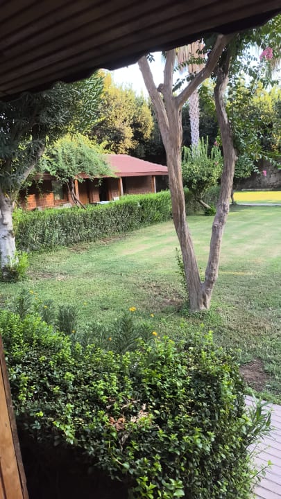 Gartenanlage Can Garden Beach