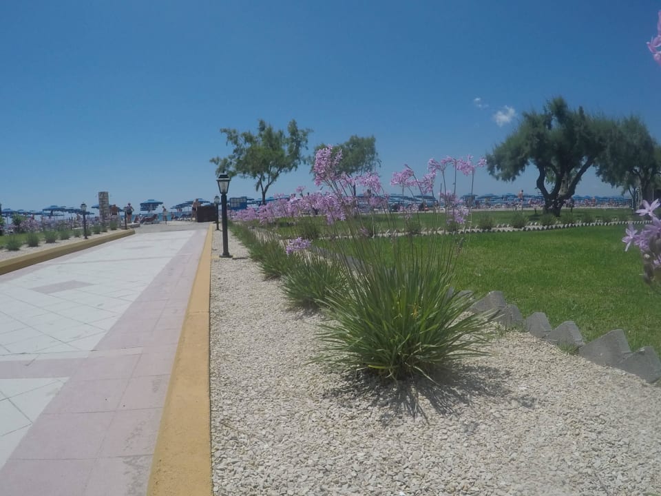 Lindos Princess 2016 Lindos Princess Beach Resort & Spa