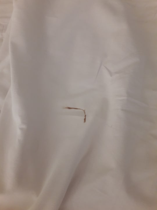 Zimmer Hotel Orfeus Park