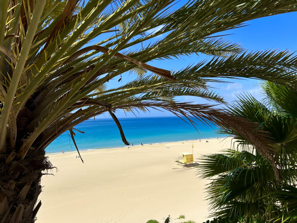 Ausblick Iberostar Selection Fuerteventura Palace