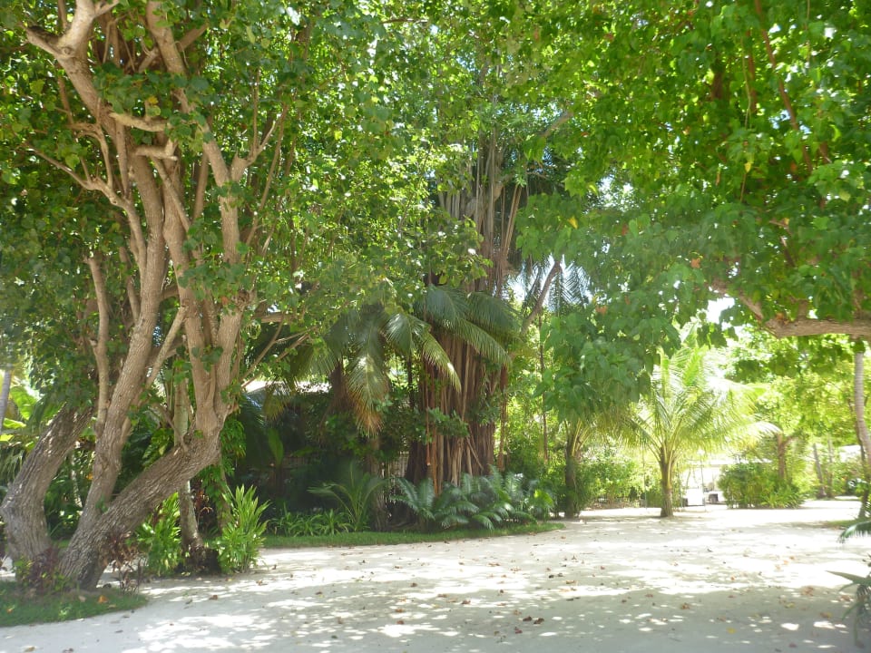 Hotelanlage Kuramathi Maldives