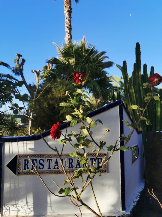 Außenansicht Marina Playa Suite Hotel