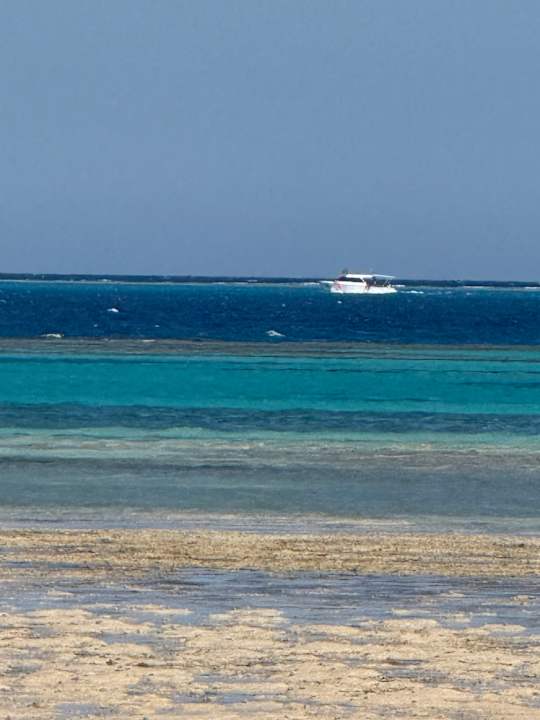 Strand JAZ Elite Asteria