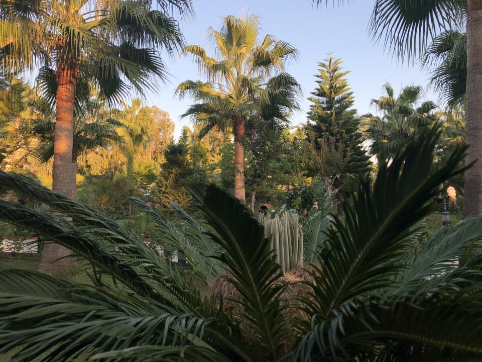 Gartenanlage Saphir Resort & Spa