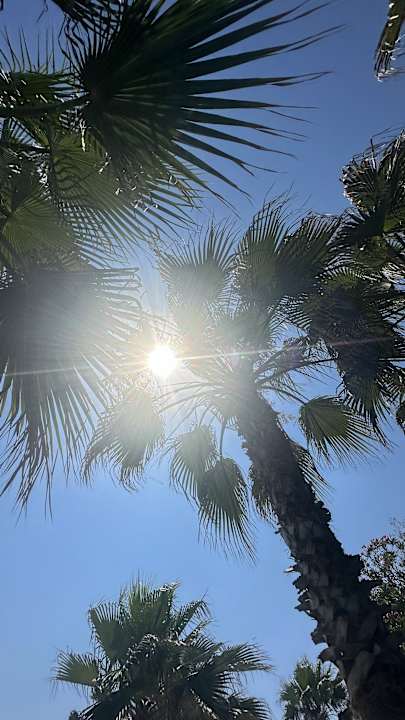 Gartenanlage Hotel Süral Resort