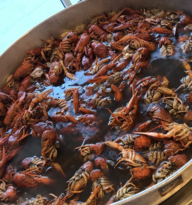 Gastro Well Palace Side