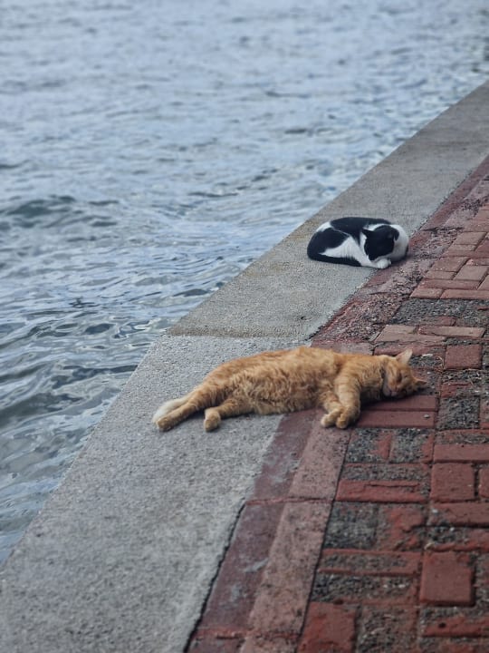 Ausblick Labranda Mares Marmaris
