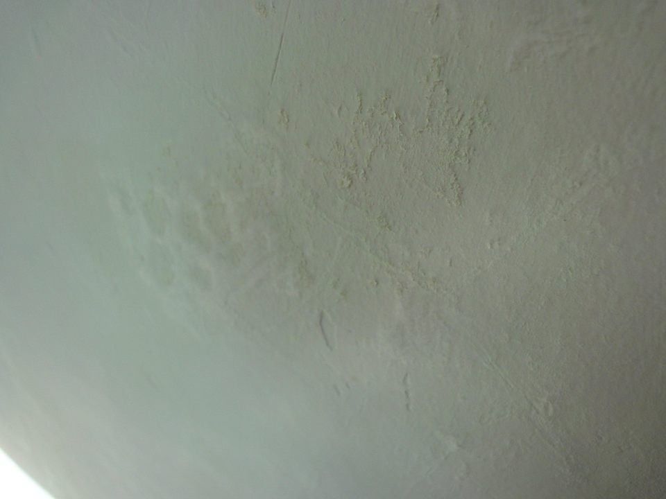 Schimmel oder ähnliches im Bad Vivere Resort Seminyak