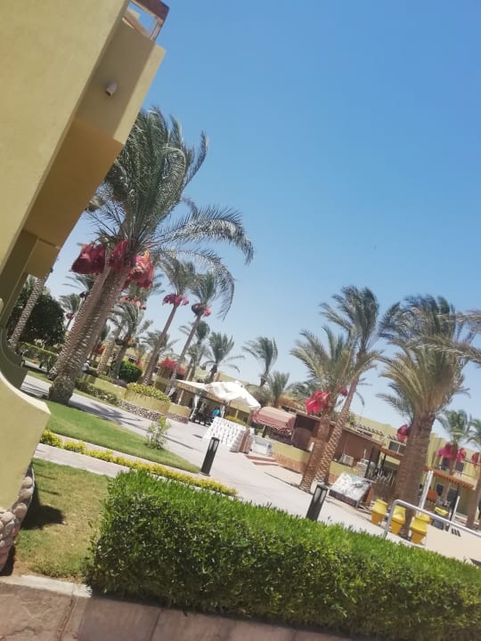 Gartenanlage Palm Beach Resort