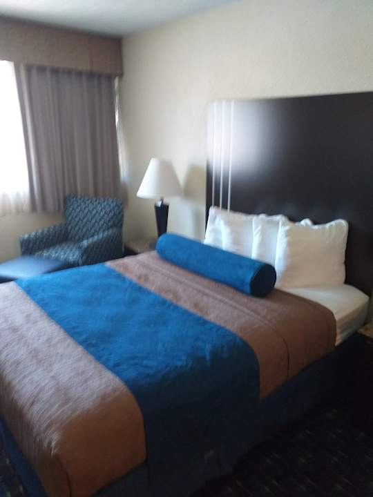 Zimmer Best Western Plus Hotel Reading Inn & Suites