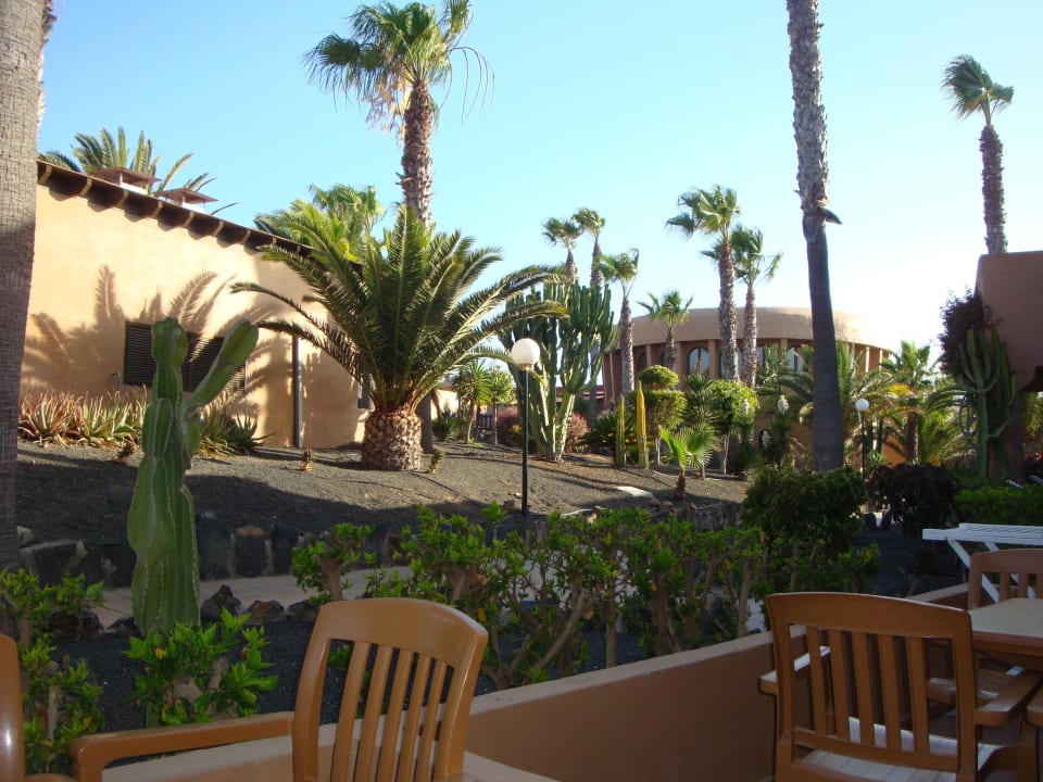 Terrasse Hotel Oasis Dunas