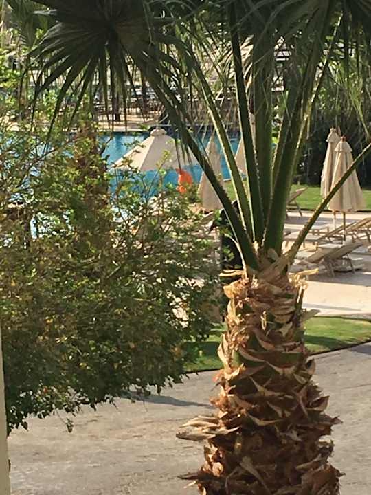 Gartenanlage Steigenberger ALDAU Beach Hotel