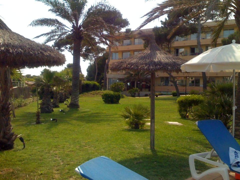 Hotel und Garten Grupotel Natura Playa