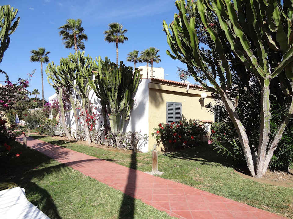 Rückseite Reihenbungalow mit WLAN-Hotspot  HL Miraflor Suites Hotel