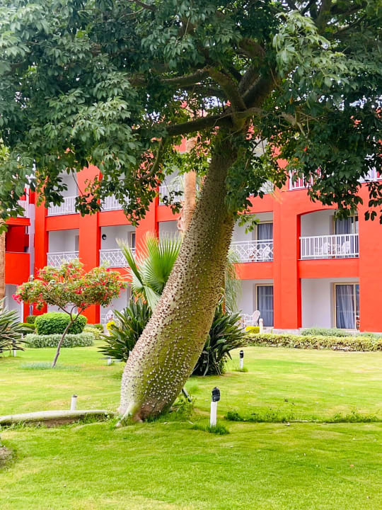 Gartenanlage Titanic Beach Spa & Aqua Park