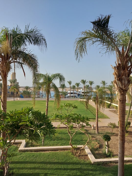 Zimmer Pickalbatros Palace Hotel-Port Ghalib