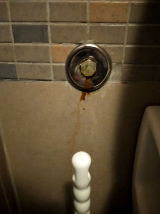 Zimmer Hotel Pine Bay Holiday Resort