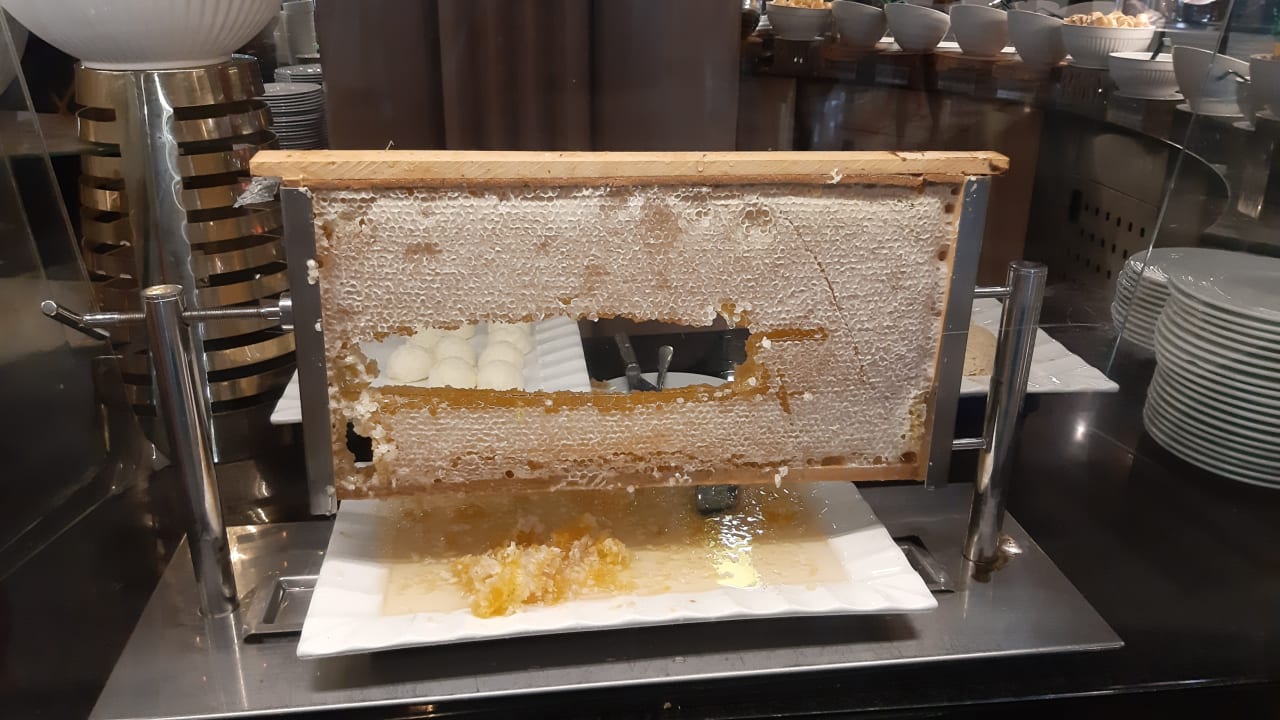 Gastro Sherwood Exclusive Kemer