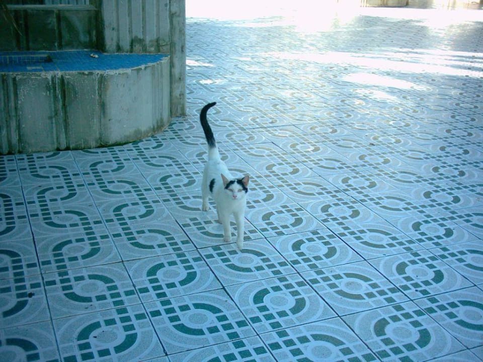 Eingangsbereich Bei Juan Playa Blanca