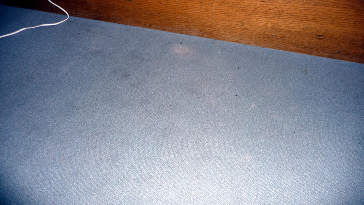 Teppichverunreinigung Hotel Spreewitz am Kurfürstendamm