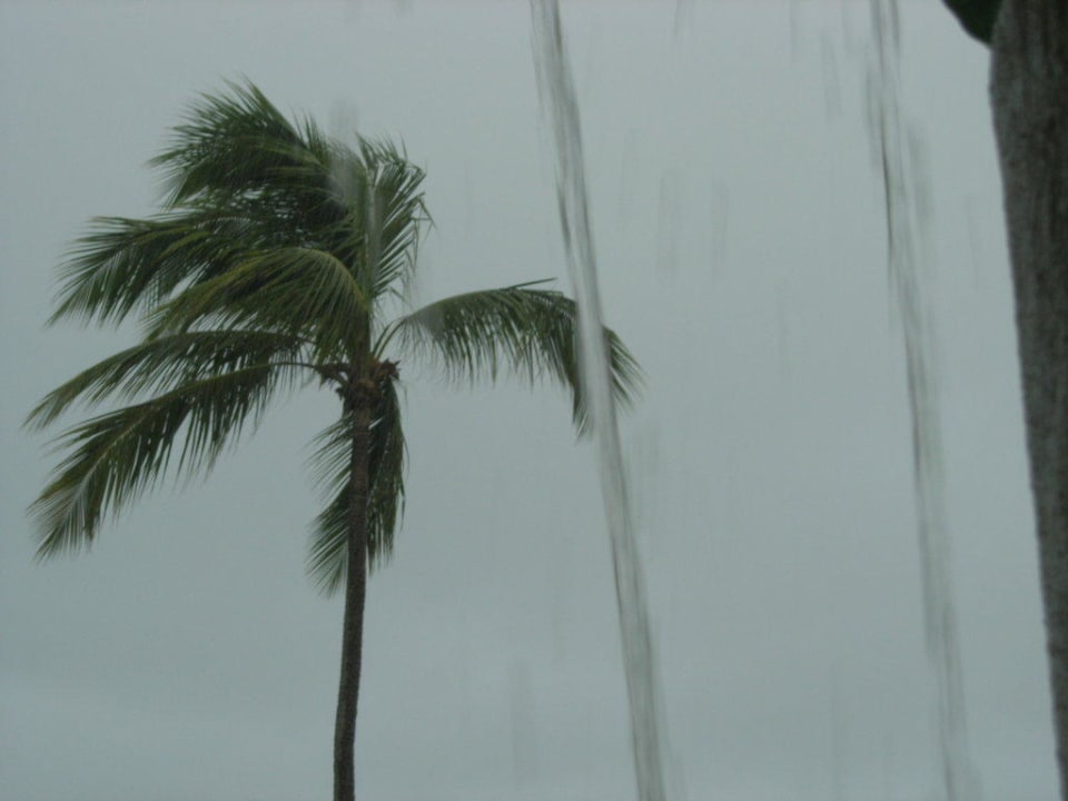 Hotel Grand Palladium Palace Resort, Spa & Casino Hotel Grand Palladium Palace Resort, Spa & Casino