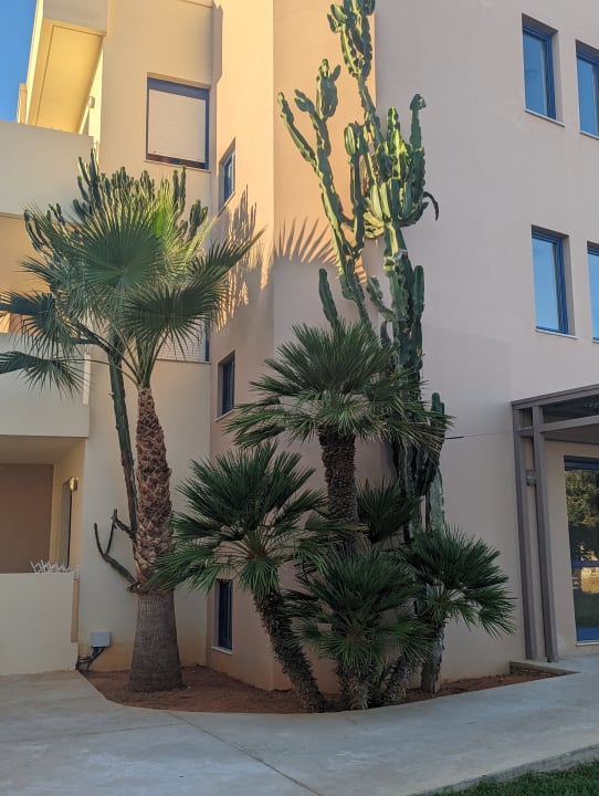 Gartenanlage Hotel Meropi