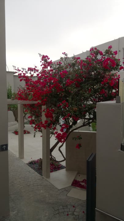 Gartenanlage Nefeli Hotel Rethymno