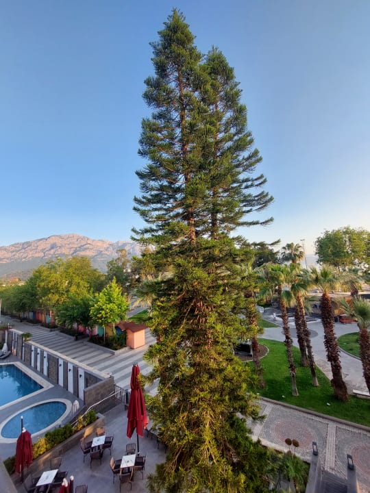 Ausblick İmperial Turkiz Resort Hotel