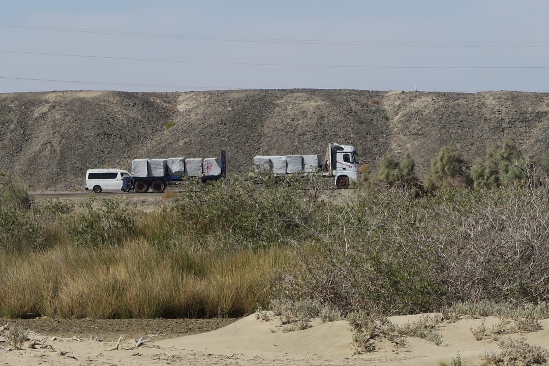Ausblick Shams Alam Beach Resort