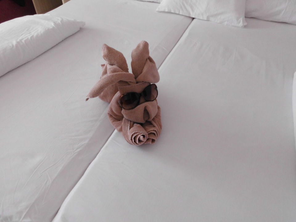 Zimmer GRIFID Vistamar