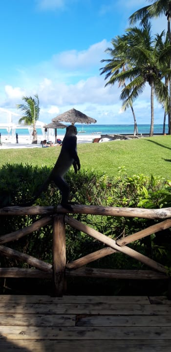 Ausblick Neptune Village Beach Resort & Spa