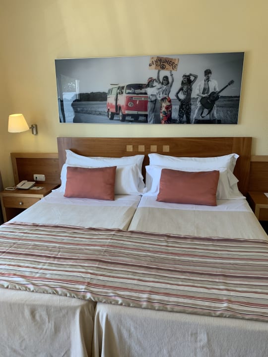 Zimmer Bellamar Hotel Beach & Spa