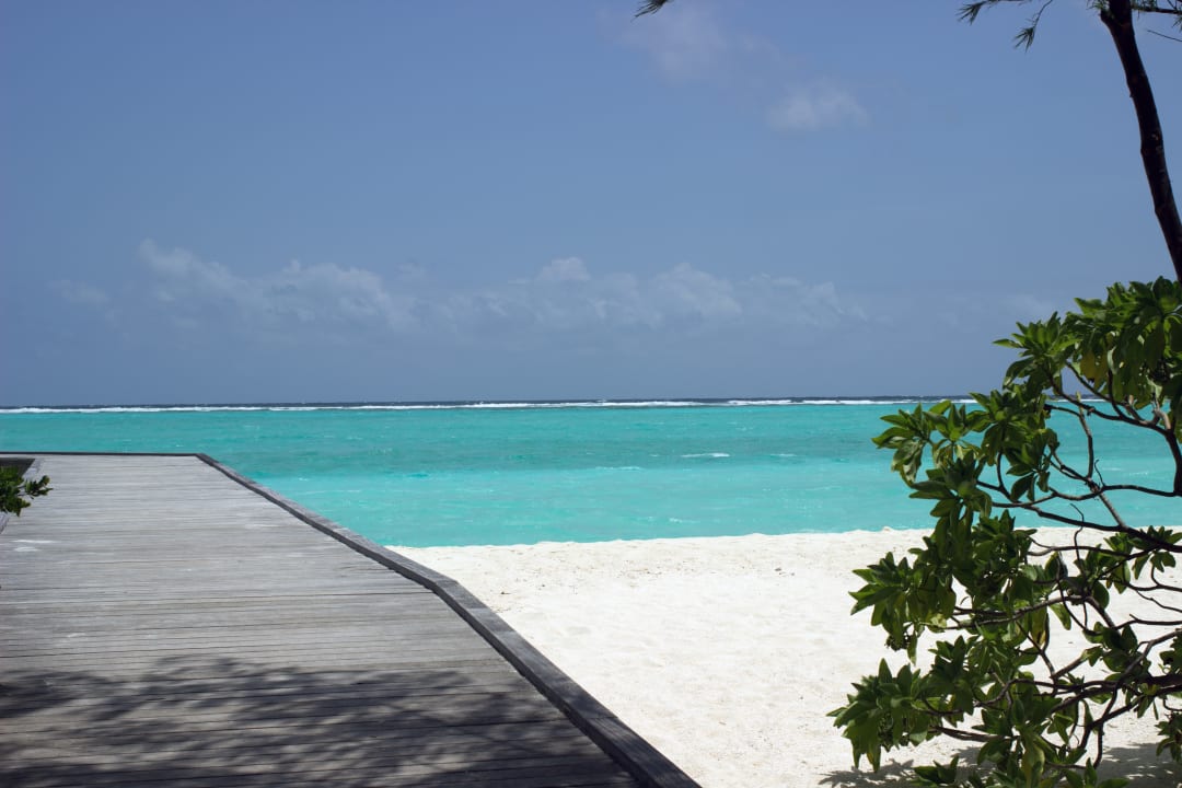 Strand Summer Island Maldives