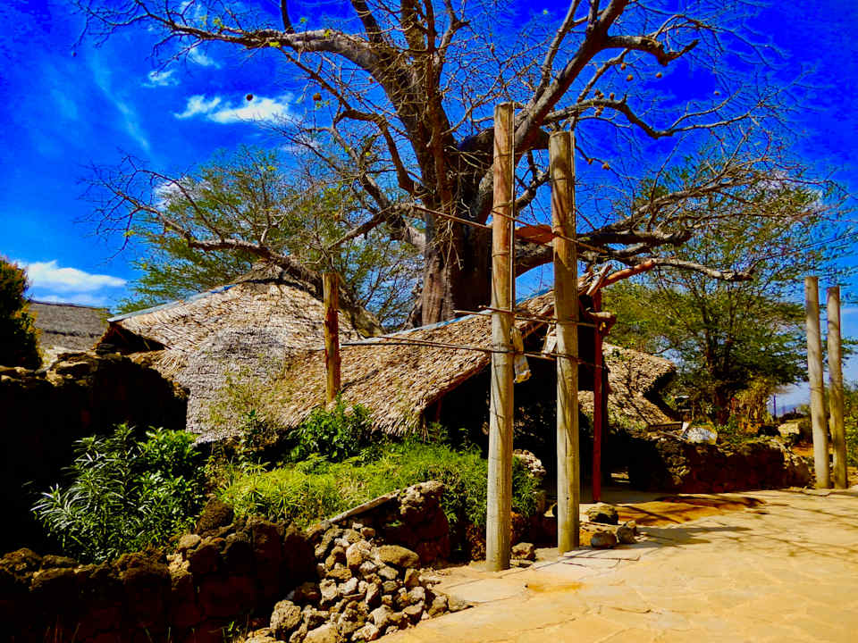 Lobby Rhino Valley Lodge