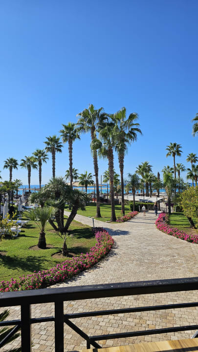 Gartenanlage TUI BLUE Palm Garden