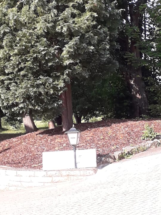 Gartenanlage Landgasthof Felsenkeller