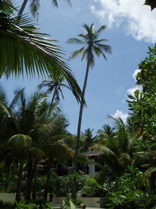 Hotelanlage Panwa Beach Resort Phuket