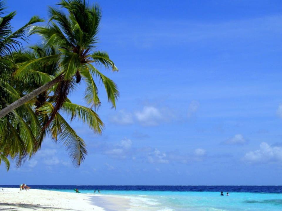 Traumstrand Fihalhohi Maldives
