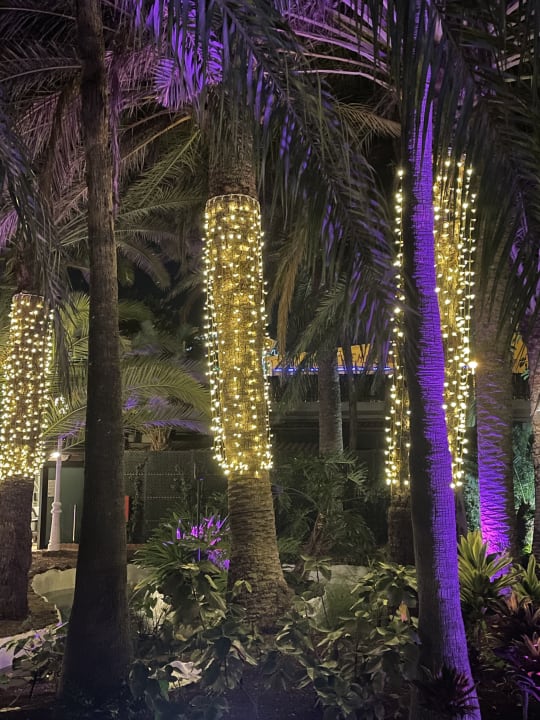 Gartenanlage Hotel Parque Tropical