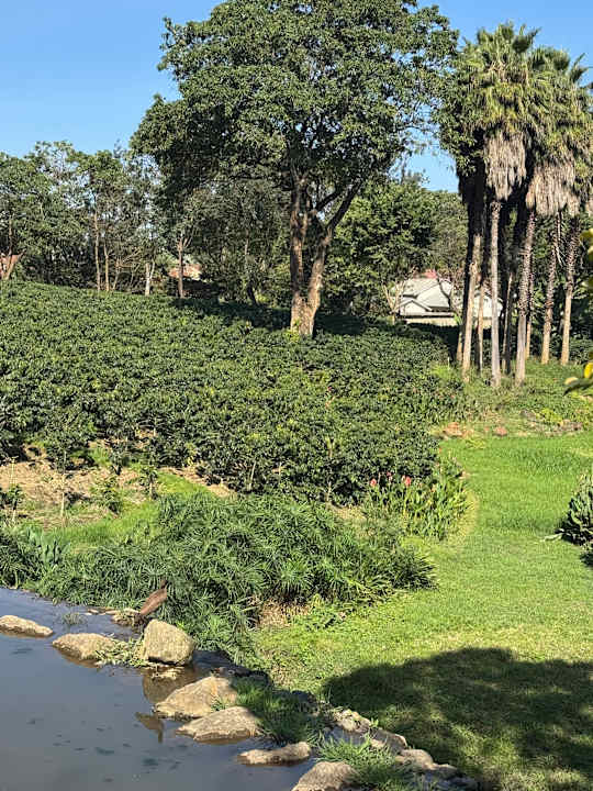 Gartenanlage Gran Melia Arusha