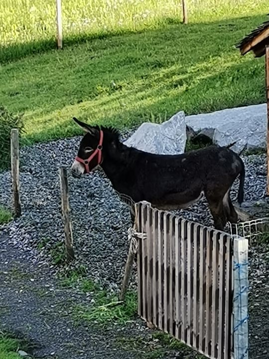 Ausblick Hotel Mohnenfluh