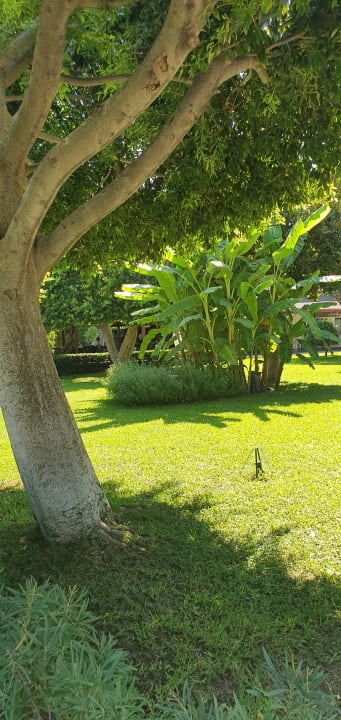 Gartenanlage Seven Seas Hotel Life