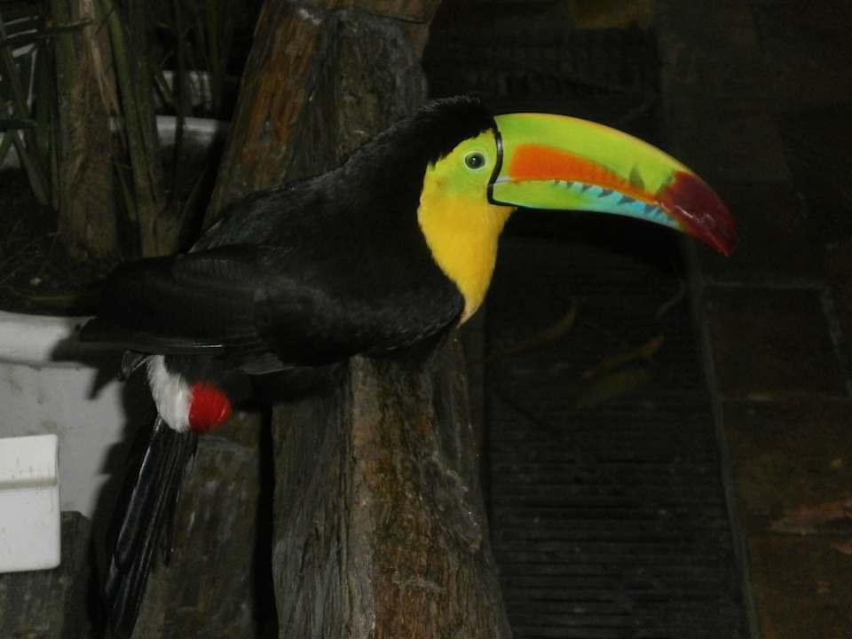 Der Hausvogel Hotel Minotel Bantu & Lifestyle