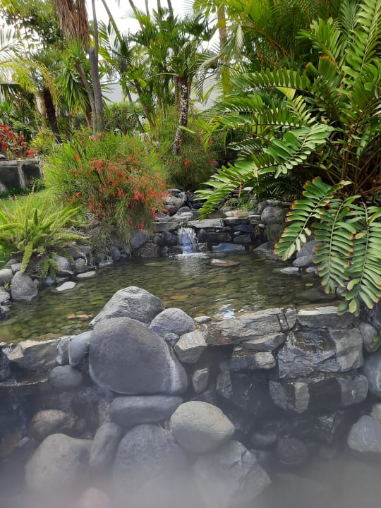 Gartenanlage allsun Hotel Lucana